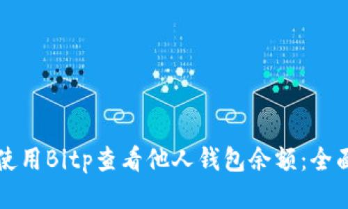 如何使用Bitp查看他人钱包余额:全面指南