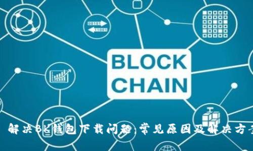 : 解决BK钱包下载问题:常见原因及解决方案