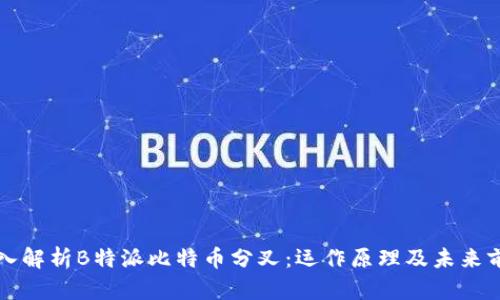 深入解析B特派比特币分叉：运作原理及未来前景