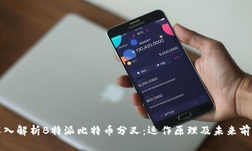 深入解析B特派比特币分叉：运作原理及未来前景