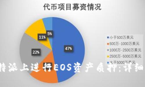 如何在比特派上进行EOS资产质押:详细指南与技巧
