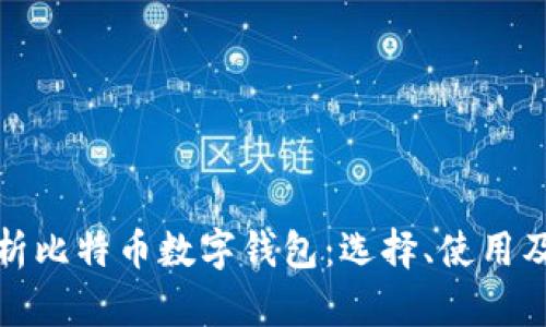 全面解析比特币数字钱包：选择、使用及安全性