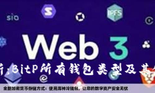 全面解析:BitP所有钱包类型及其使用指南