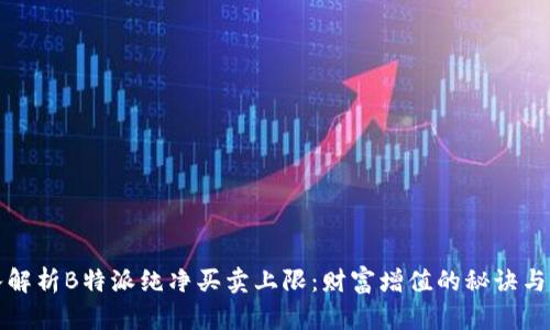 深入解析B特派纯净买卖上限:财富增值的秘诀与策略