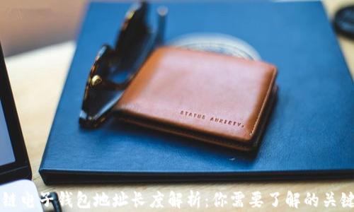 
区块链电子钱包地址长度解析：你需要了解的关键知识
