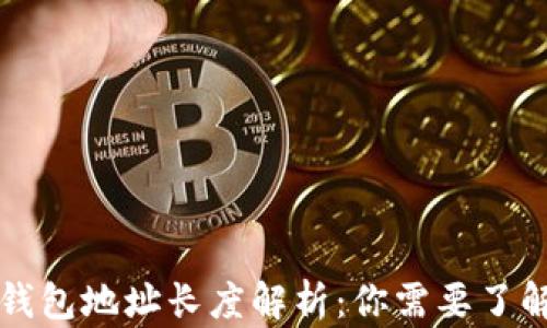 
区块链电子钱包地址长度解析：你需要了解的关键知识
