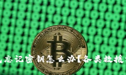 加密钱包忘记密钥怎么办?各类救援方法详解