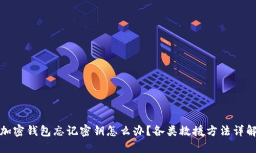 加密钱包忘记密钥怎么办?各类救援方法详解