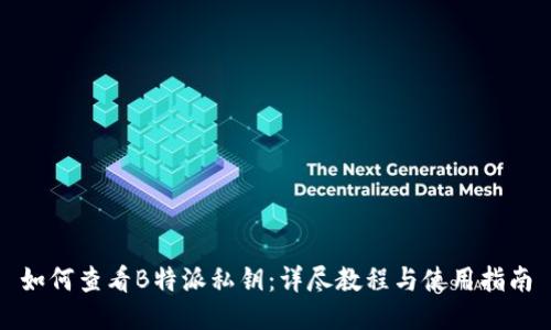 如何查看B特派私钥:详尽教程与使用指南