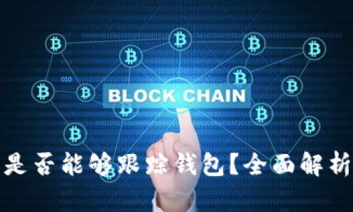 虚拟币平台是否能够跟踪钱包?全面解析与安全措施