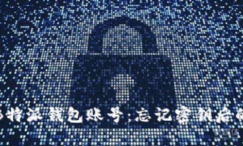 如何找回B特派钱包账号:忘记密钥后的解决方案