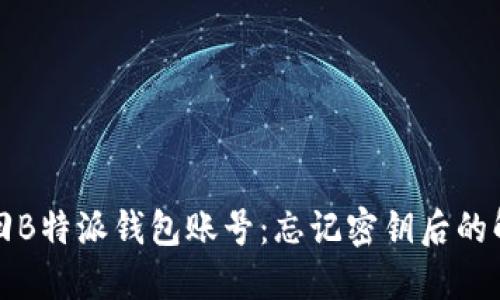 如何找回B特派钱包账号:忘记密钥后的解决方案