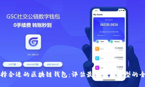 如何选择合适的区块链钱包:评估最佳钱包类型的全面指南