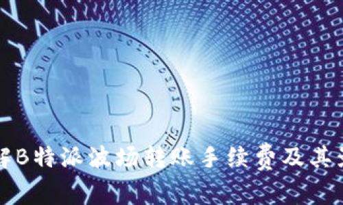 深入了解B特派波场转账手续费及其影响因素