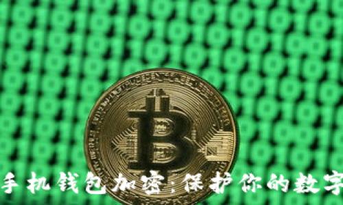 数字货币手机钱包加密:保护你的数字资产安全