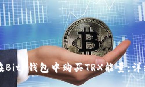 如何在BitP钱包中购买TRX能量：详细指南