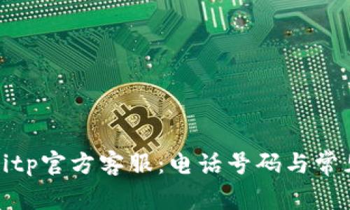 如何联系Bitp官方客服:电话号码与常见问题解答