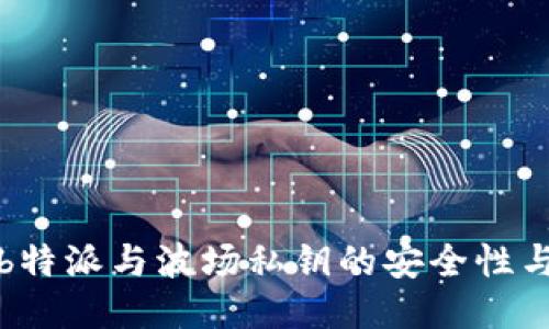 深入探讨b特派与波场私钥的安全性与使用攻略