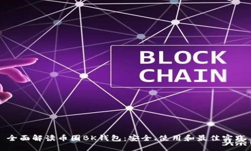 全面解读币圈BK钱包:安全、使用和最佳实践