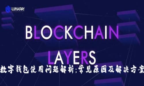数字钱包使用问题解析:常见原因及解决方案