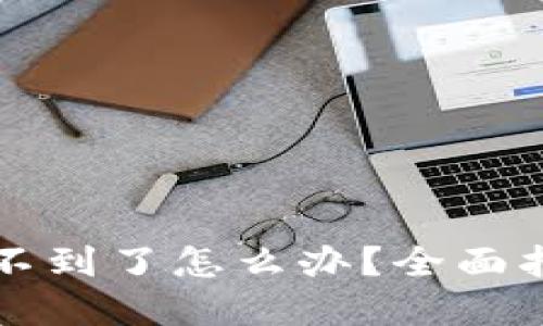 区块链钱包找不到了怎么办？全面指南与解决方案