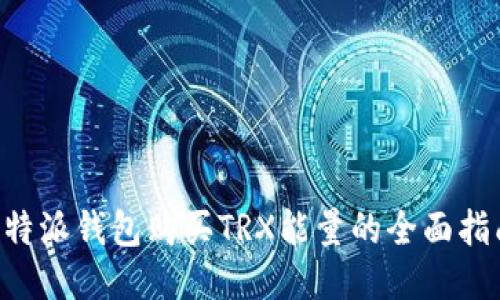 B特派钱包购买TRX能量的全面指南