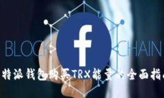 B特派钱包购买TRX能量的全