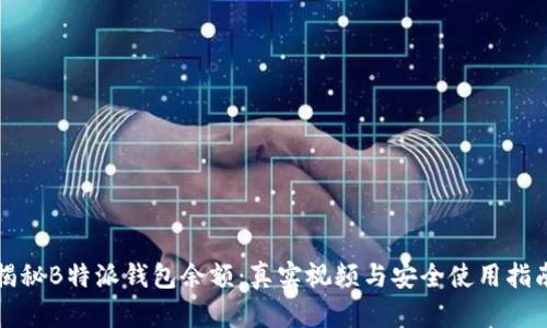 揭秘B特派钱包余额:真实视频与安全使用指南