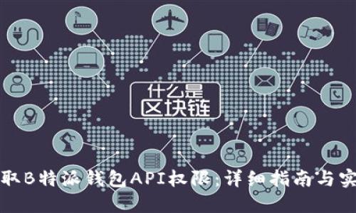 如何获取B特派钱包API权限:详细指南与实用技巧