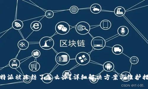 比特派被冻结了怎么办?详细解决方案与维护措施