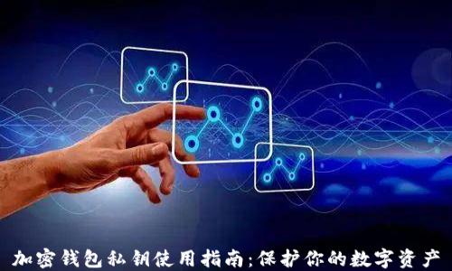 加密钱包私钥使用指南:保护你的数字资产