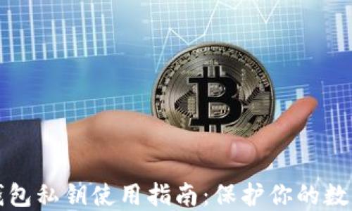 加密钱包私钥使用指南:保护你的数字资产