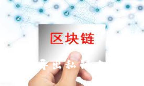 如何通过观察钱包导出私钥:知乎用户的详细指南