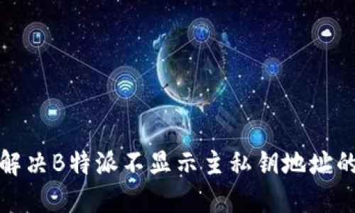 如何解决B特派不显示主私钥地址的问题