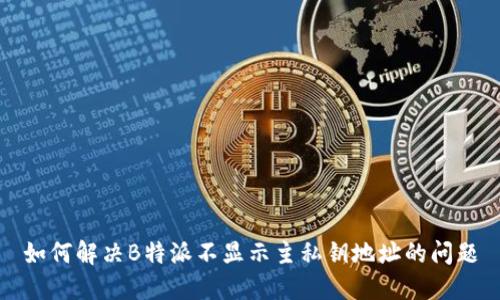 如何解决B特派不显示主私钥地址的问题