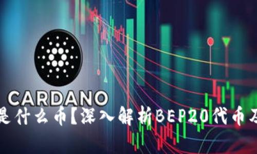 BEP20是什么币?深入解析BEP20代币及其应用