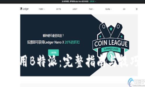 如何使用B特派:完整指南与技巧分享