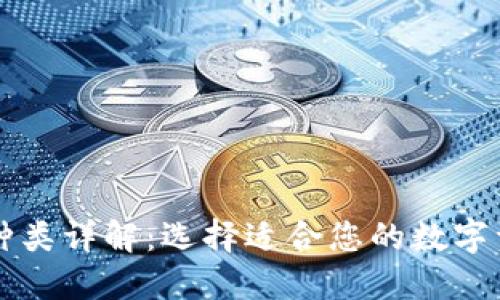 区块链钱包种类详解:选择适合您的数字资产管理工具