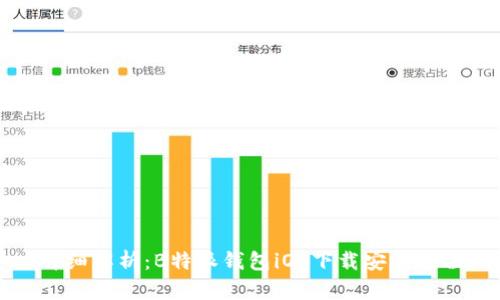 详细解析:B特派钱包iOS下载安装教程