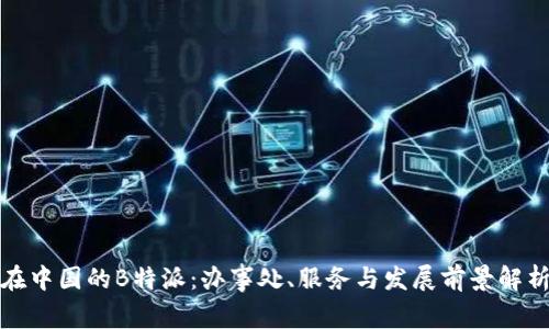 在中国的B特派:办事处、服务与发展前景解析