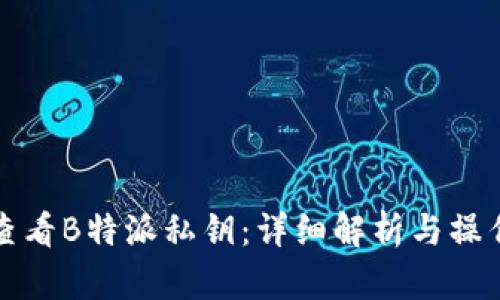 如何查看B特派私钥:详细解析与操作指南