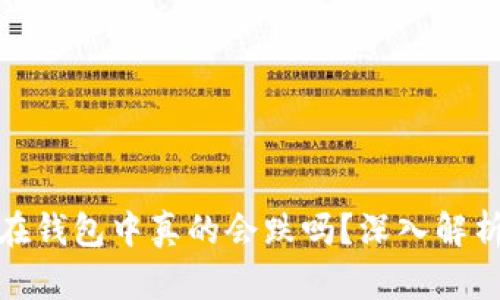 加密货币放在钱包中真的会跌吗?深入解析及投资策略
