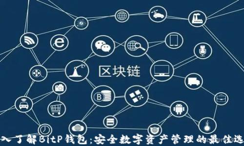 深入了解BitP钱包:安全数字资产管理的最佳选择