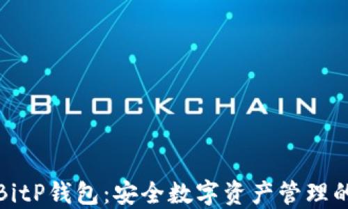 深入了解BitP钱包:安全数字资产管理的最佳选择