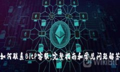 如何联系BitP客服：完整指