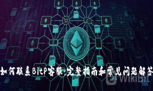 如何联系BitP客服:完整指南和常见问题解答
