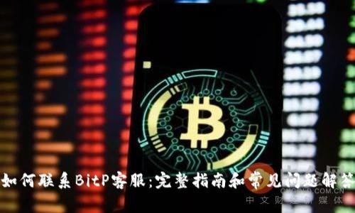 如何联系BitP客服:完整指南和常见问题解答
