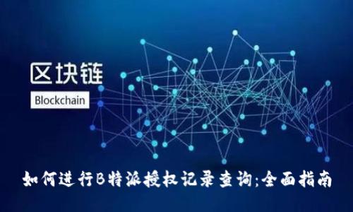如何进行B特派授权记录查询:全面指南
