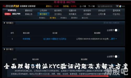 全面理解B特派KYC验证问题及其解决方案