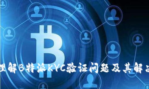 全面理解B特派KYC验证问题及其解决方案